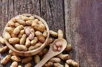 Peanuts