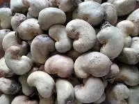Cashew Nuts