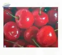 Cherry