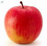 Fuji Apples