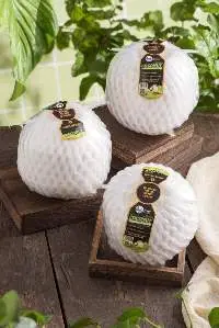 Coconut With Straw