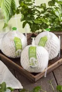 Convenient Coconut