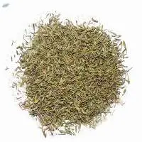 Thyme