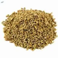 Anise seeds