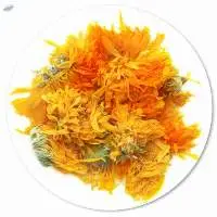 Calendula flower