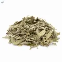 Sage