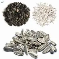 Sunflower Seeds