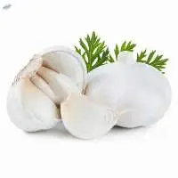 Fresh Garlic