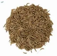 Caraway seeds