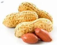 Peanut
