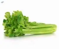 Celery