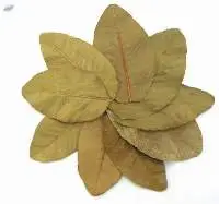 Guava Leaves