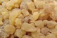 Gum Acacia