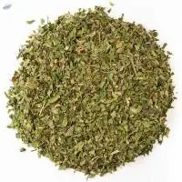 Spearmint