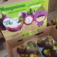 Mangosteen