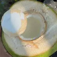 Coconut Fresh