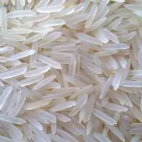 1509 Basmati Rice