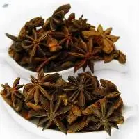 Star Anise