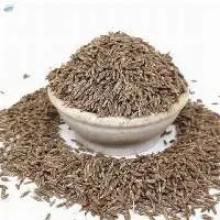 Cumin Seed