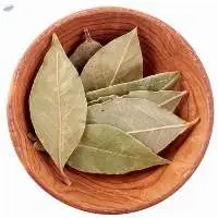 Bay Leaf