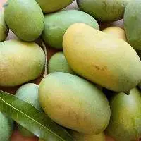 Pedda Rasalu Mango