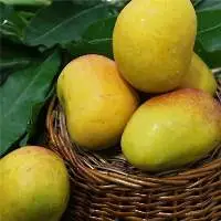 Himayath Mango