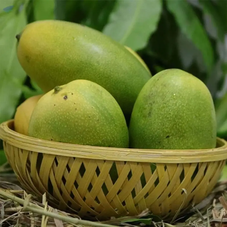 Cheruku Rasam Mango