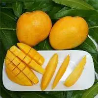 Banganapalli Mango