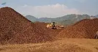 Iron Ore