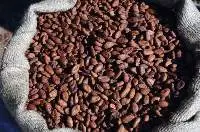 Cocoa Beans