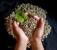 Robusta Coffee Beans