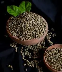 Arabica Coffee Bean