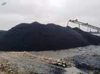 Steam Coal