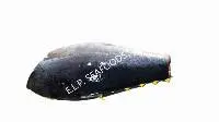 Yellowfin Tuna - H&g / Off-tail
