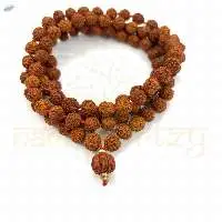 Rudraksha Mix Faces 8mm Knotted Mala 108 Beads