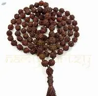 Brown Rudraksha 8mm Knotted Mala 108 Beads