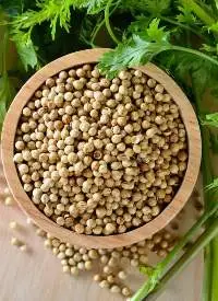 Premium Quality Indian Coriander Seeds