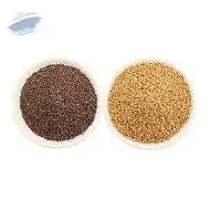 Premium Indian Mustard Seeds Export Quality
