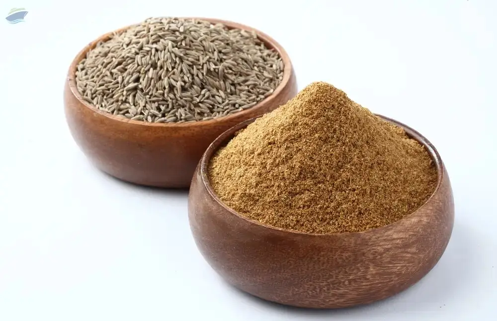 Premium Indian Cumin Seeds Export Quality