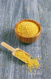 Premium Foxtail Millet Export Quality Grain