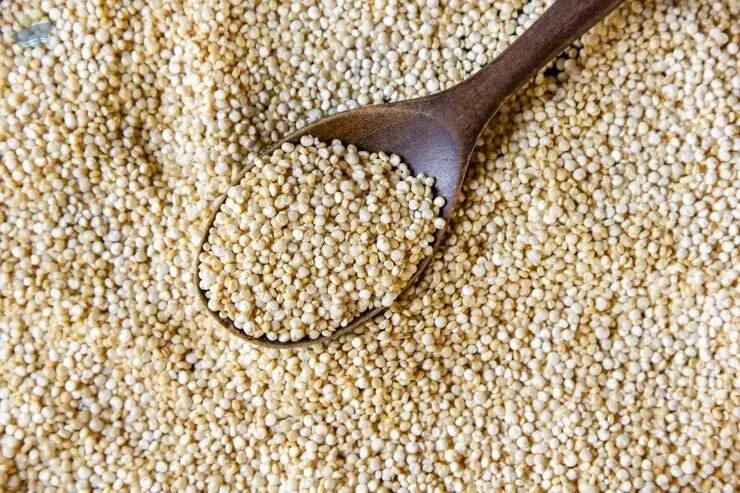 Premium Finger Millet Export Quality Grain 