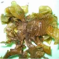 Dried Halymenia Seaweed