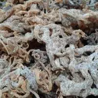 Dried Cottonii Seaweed