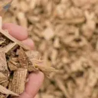 Wood chips