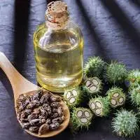 Refined FSG BSS Grade Castor Oil