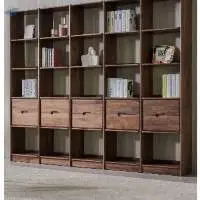 1823 Hard Wood Book Case