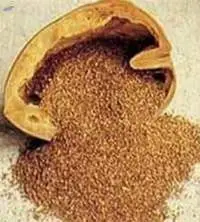 Walnut shell powder