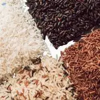 Rice