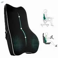 Orthopedic Car & Chair Backrest