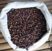 Clove